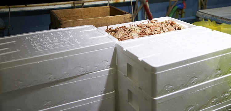 求問毒理未來的前景在何方 ?關于第三檢測行業，食品檢測、消費品檢測和環境檢測，業務的開發方向有什么差異。 