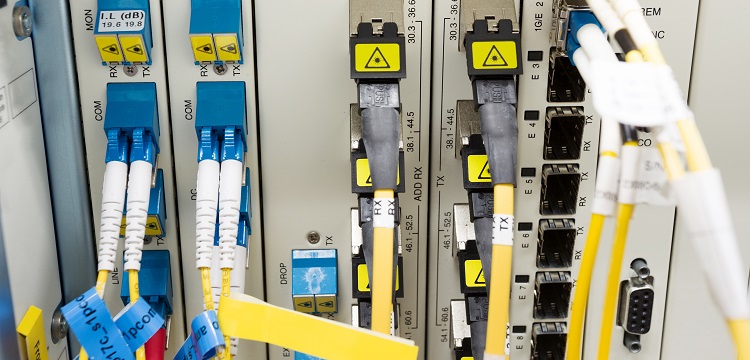 深圳大學(xué)公衛(wèi)考研公共衛(wèi)生考研報考要求?美國政府問責(zé)局報告稱「 美公共衛(wèi)生部門疫情應(yīng)對存在『 持續(xù)缺陷 』」，該缺陷是什么  健明迪檢測