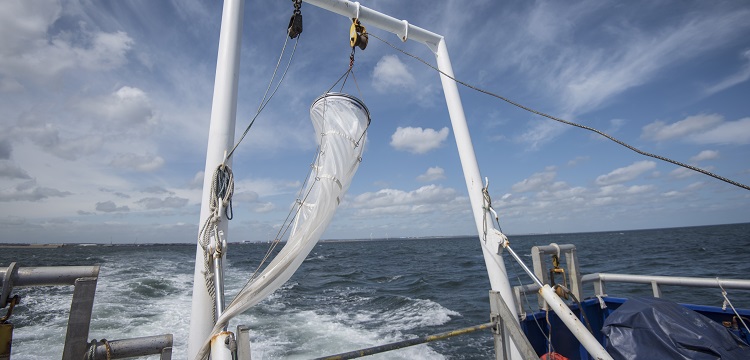 食品接觸材料檢測項目大匯總！