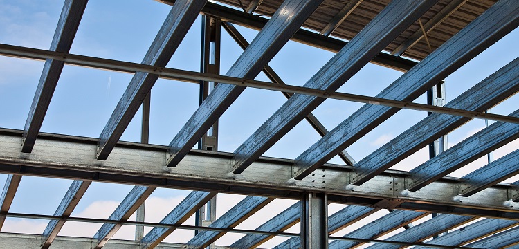 乳腺癌細胞4T1熒光素酶標記小鼠模型