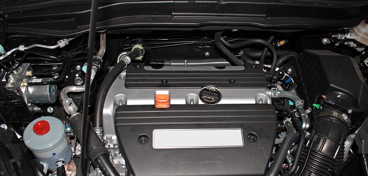 螺旋藻檢測(cè)