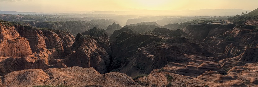 花色苷檢測(cè)