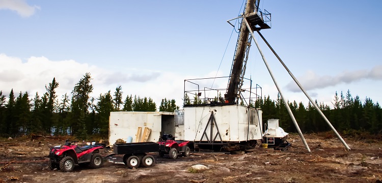 靈芝檢測報(bào)告