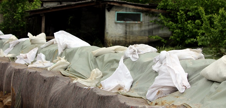 小鼠碳粒廓清實(shí)驗?zāi)Ｐ?><p>小鼠碳粒廓清實(shí)驗?zāi)Ｐ?/p></a></div>			
				
									<div   id=