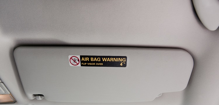 人腦膠質母瘤異種移植小鼠模型