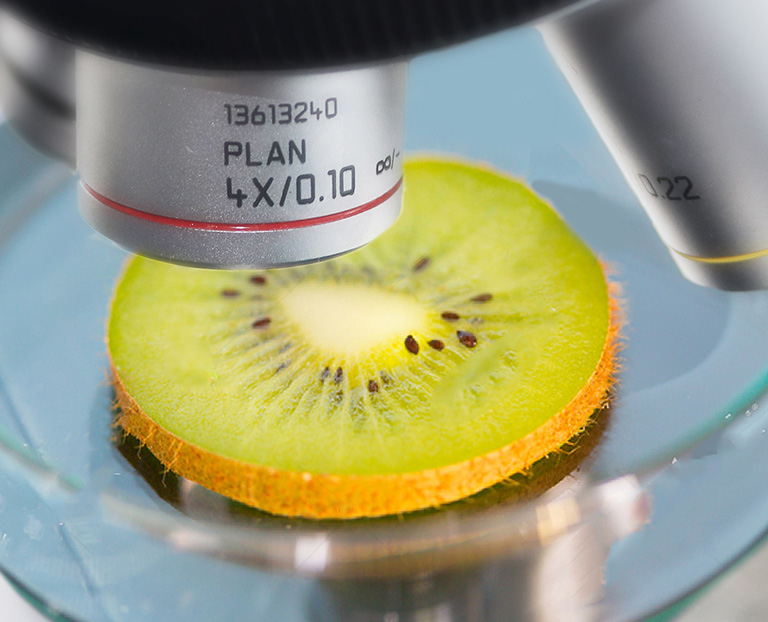 硫化黑檢測報(bào)告