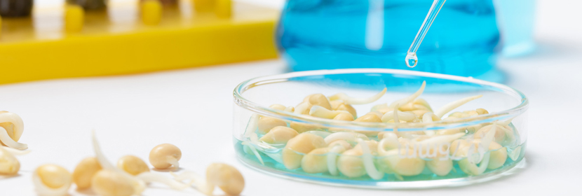 鎂合金鑄件檢測