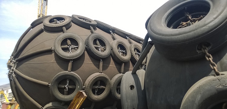 雙歧桿菌檢測(cè)