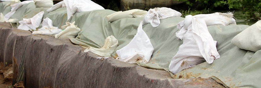 化學(xué)吸附測試