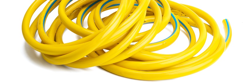 維甲酸誘導第一、二鰓弓綜合征大鼠模型