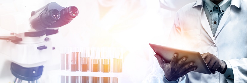 熱熔類(lèi)二聚酸型聚酰胺膠粘劑檢測(cè)