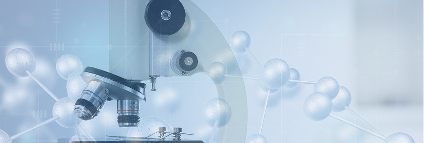 汽車用減震密封膠檢測