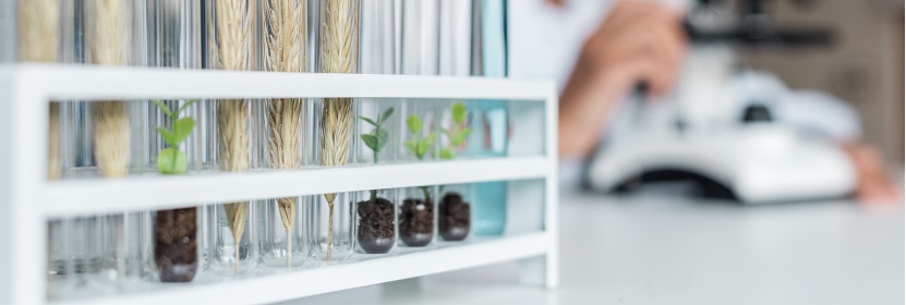 再生聚丙烯(PP)材料檢測(cè)