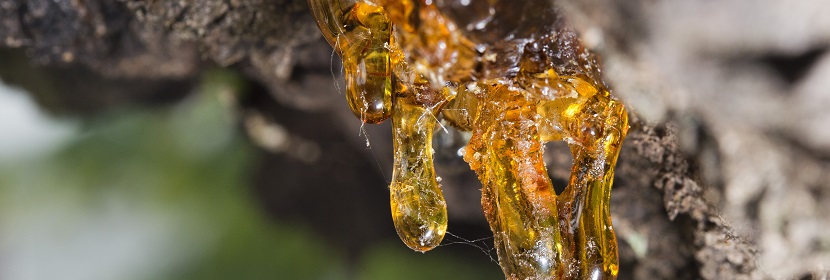 環(huán)氧樹(shù)脂地面涂料檢測(cè)